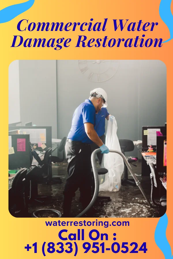 Commercial Water Damage Restoration in Martinton, IL