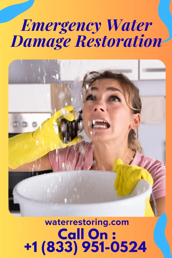 Emergency Water Damage Restoration in Martinton, IL